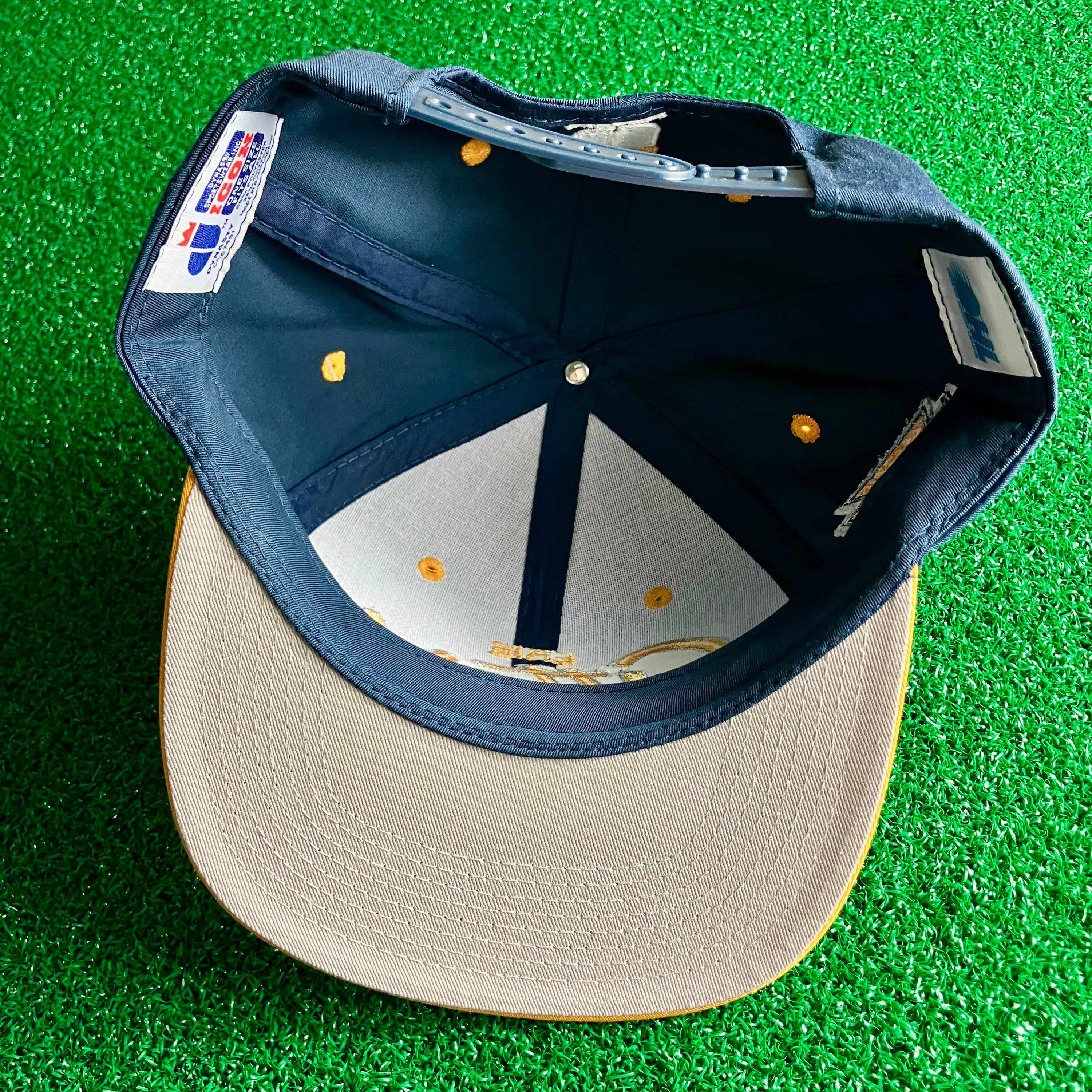 ERIE OTTERS RETRO SCRIPT DYNASTY ICON SNAPBACK