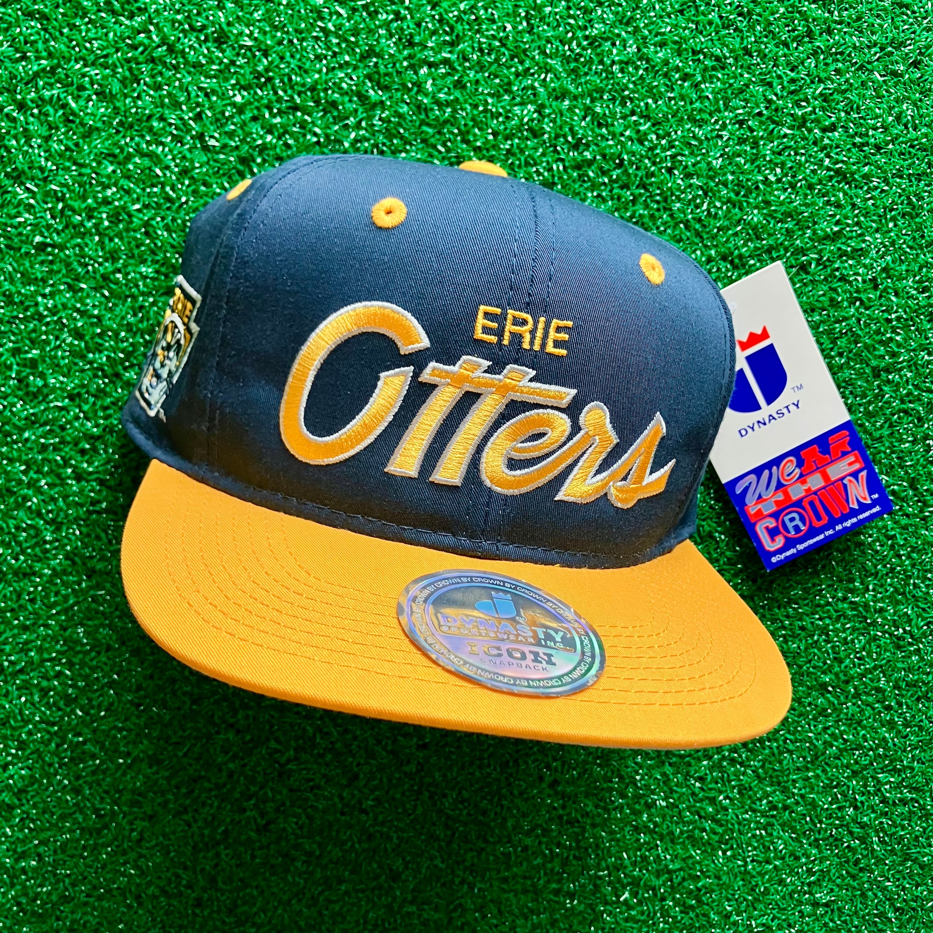 ERIE OTTERS RETRO SCRIPT DYNASTY ICON SNAPBACK