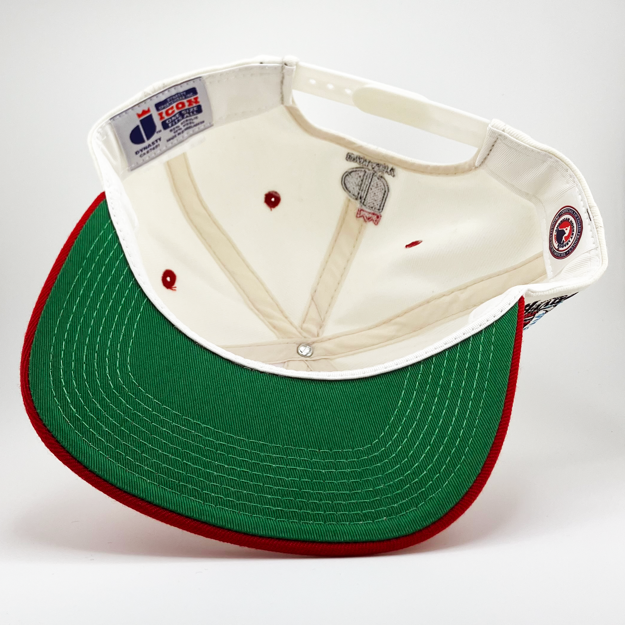 AHL® ALBANY RIVER RATS RETRO SCRIPT DYNASTY ICON SNAPBACK
