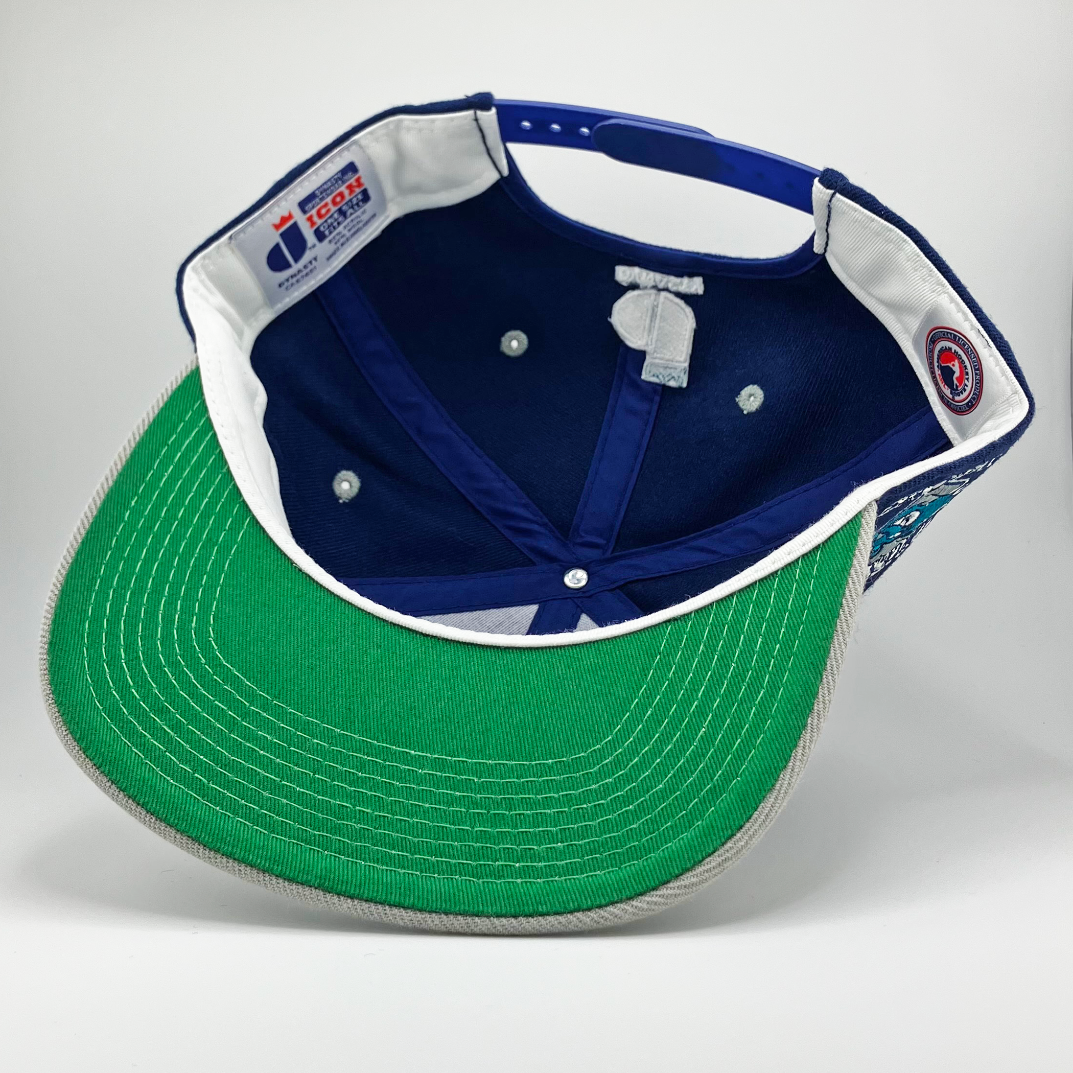 AHL® WORCESTER ICECATS RETRO SCRIPT DYNASTY ICON SNAPBACK