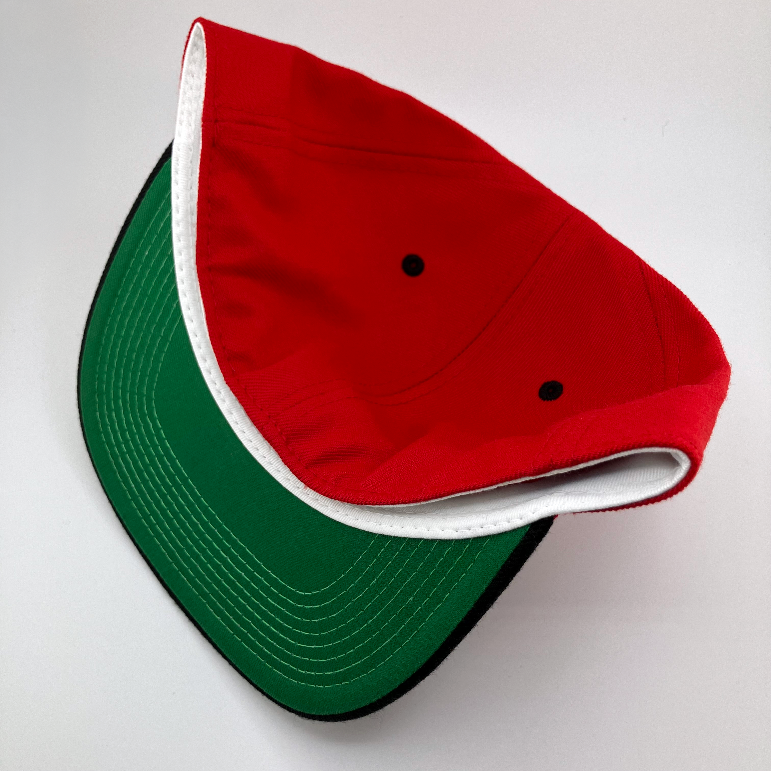 AHL® ALBANY RIVER RATS DYNASTY PRO FITTED